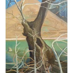 Nayab Noor, 10 x 12 Inch, Oil On Canvas, AC-NNR-002